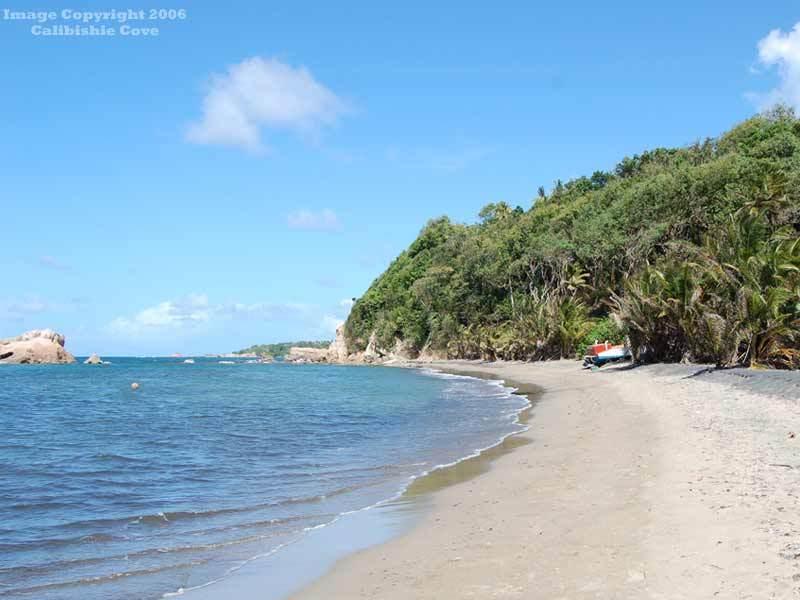Calibishie Cove Ξενοδοχείο Ανέσεις φωτογραφία