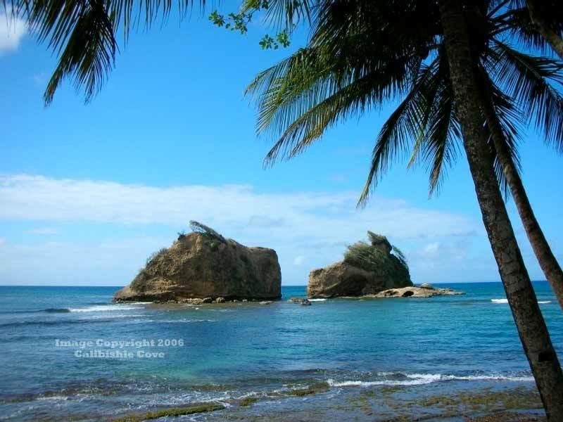 Calibishie Cove Ξενοδοχείο Εξωτερικό φωτογραφία