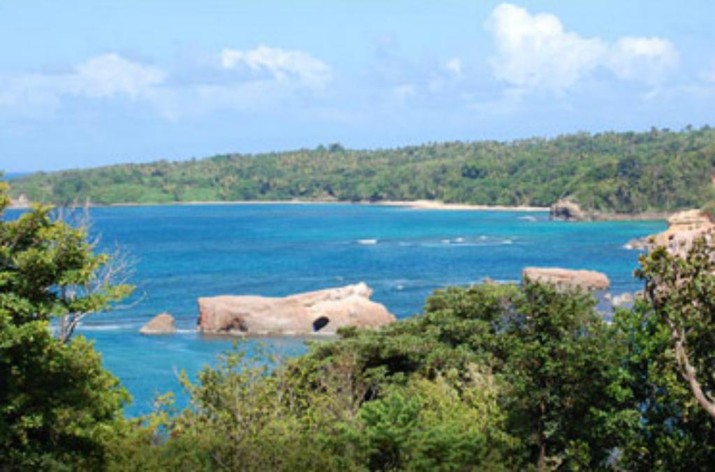 Calibishie Cove Ξενοδοχείο Εξωτερικό φωτογραφία