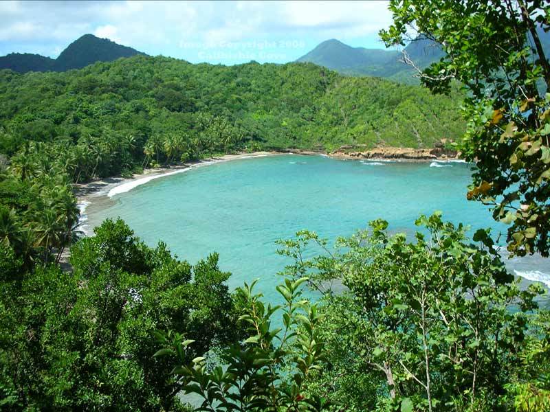 Calibishie Cove Ξενοδοχείο Εξωτερικό φωτογραφία